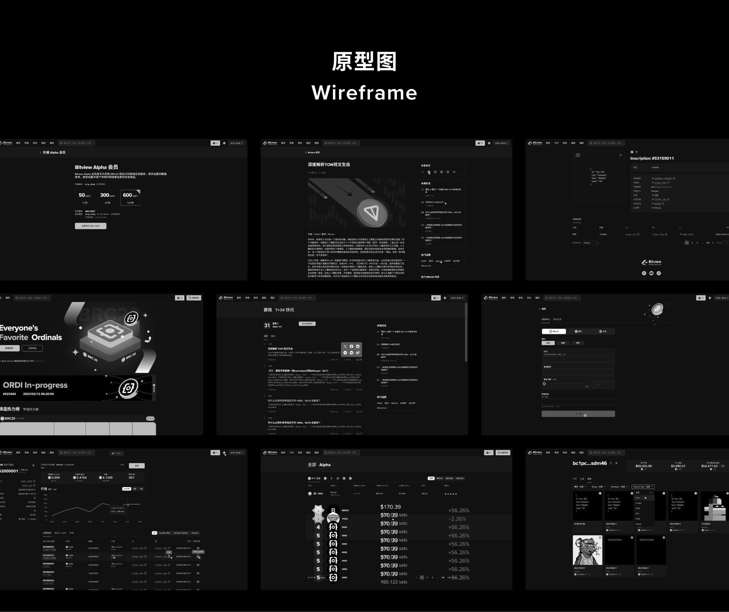 Bitview 项目页面 04